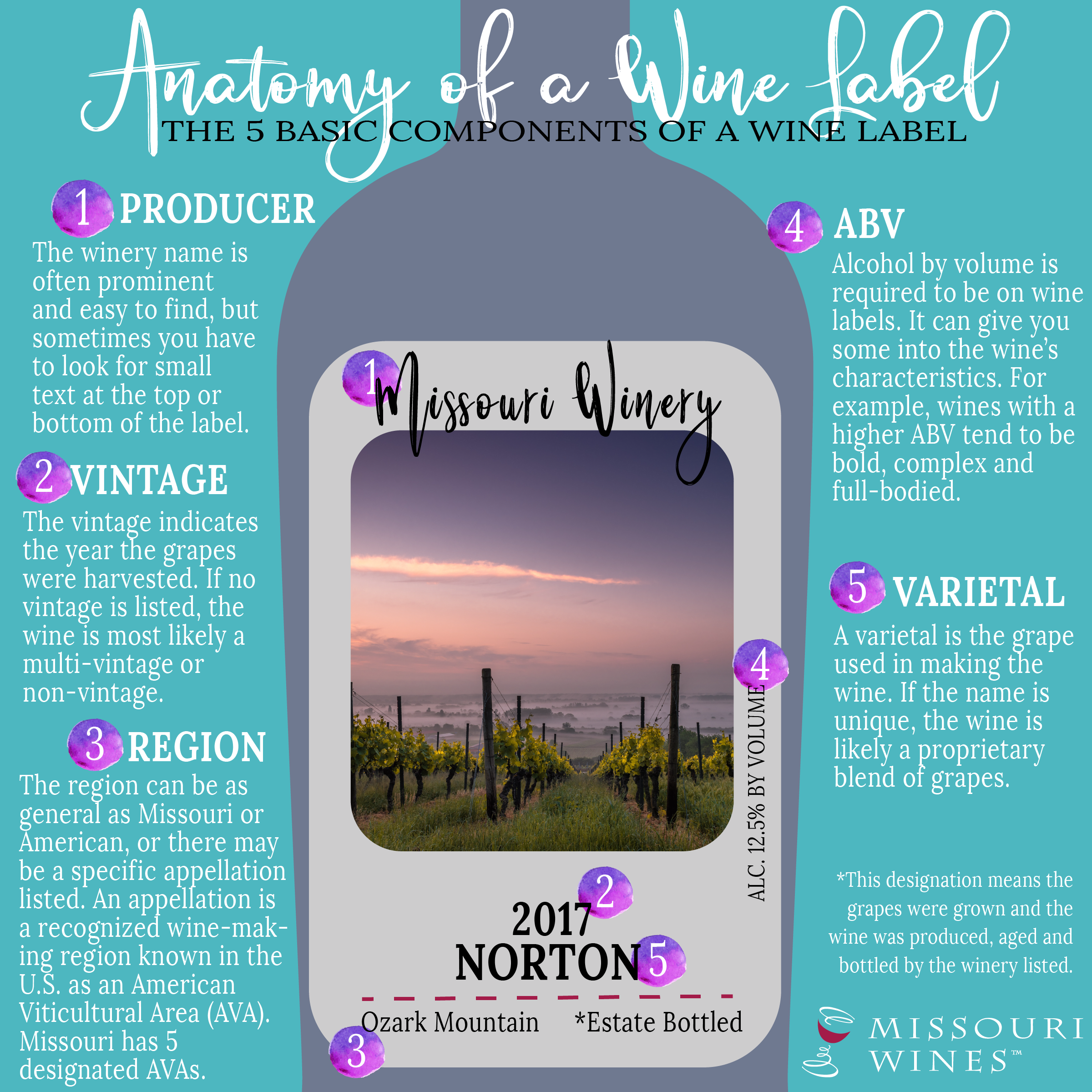 Anatomy Of A Wine Label Mo Wines 6294